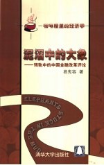 泥沼中的大象 转轨中的中国金融改革评论