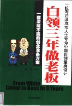 白领三年做老板 一套深藏不露的创业准备方案 一位海归派成功人士专为中国白领量身设计