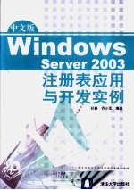 中文版Windows Server 2003注册表应用与开发实例