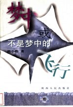梦中或不是梦中的飞行