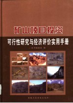 矿山项目投资可行性研究与经济评价实用手册 中