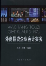 外商投资企业会计实务