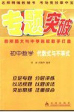 初中数学代数式与不等式