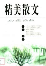 精美散文 心灵·情感