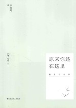 原来你还在这里 插图纪念版
