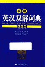 实用英汉双解词典 双色版