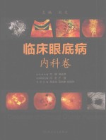 临床眼底病 内科卷