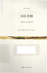 山区光棍