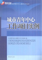 城市青年中心工作项目实例