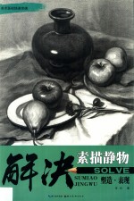 解决 素描静物 塑造·表现