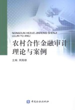 农村合作金融审计理论与案例