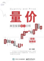 量价 典型股票盘口分析 实操加强版