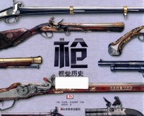 枪 视觉历史