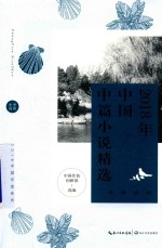 2018年中国中篇小说精选