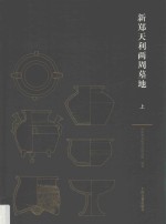 新郑天利两周墓地 上