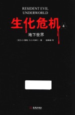 生化危机 4 地下世界