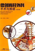微创脊柱外科手术与图谱 普及版
