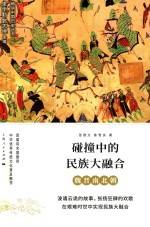 碰撞中的民族大融合 魏晋南北朝