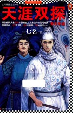 天涯双探 青衣奇盗