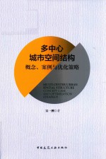 多中心城市空间结构 概念、案例与优化策略