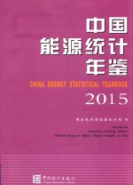 中国能源统计年鉴 2015 汉英对照