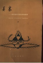 姜寨 新石器时代遗址发掘报告