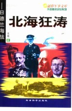 北海狂涛 日德兰海战