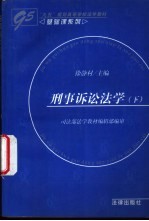 刑事诉讼法学 下