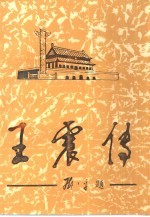 王震传 上