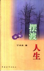 摆渡人生