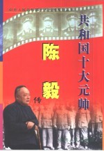 陈毅传
