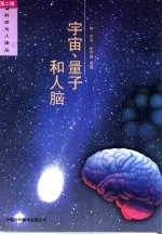 宇宙,量子和人脑