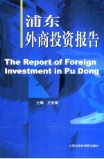 浦东外商投资报告