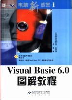 Visual Basic 6.0图解教程
