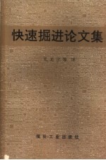 快速掘进论文集