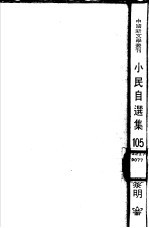 小民自选集