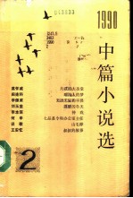 1990年中篇小说选 第2辑