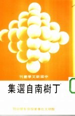 丁树南自选集