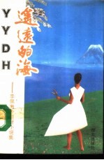 遥远的海 李佩海外题材小说集
