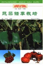 蔬菜错季栽培