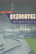 虚拟空间的美学现实 数字媒体审美文化