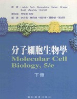 分子细胞生物学 下