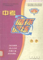 中考循环训练 化学