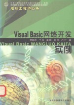 Visual Basic网络开发实例