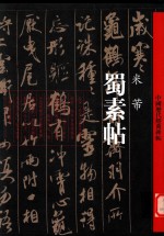 中国历代经典碑帖 蜀素帖