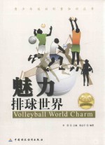 魅力排球世界