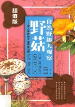 自然野趣大观察 野菇 超值版