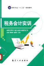 税务会计实训