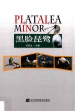 黑脸琵鹭