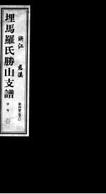 埋马罗氏胜山支谱 第4册